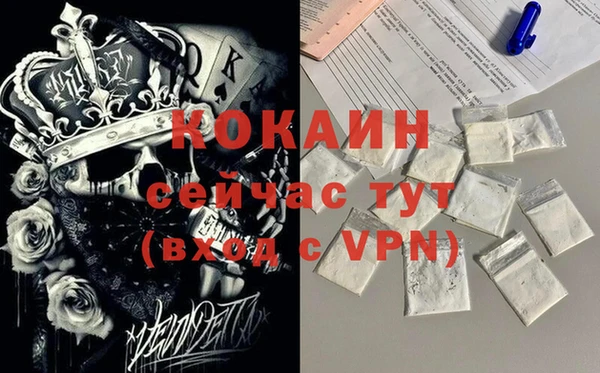 мдпв Ельня