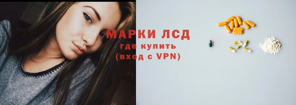 мдпв Ельня