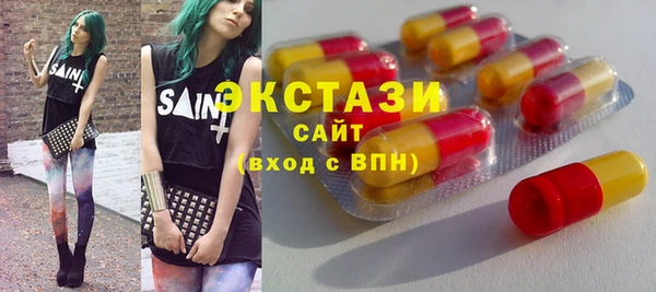 мдпв Ельня