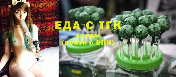 мдпв Ельня