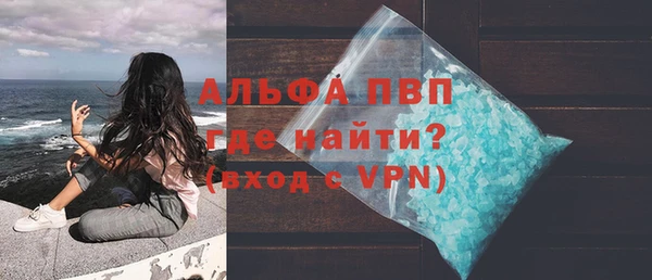 мдпв Ельня